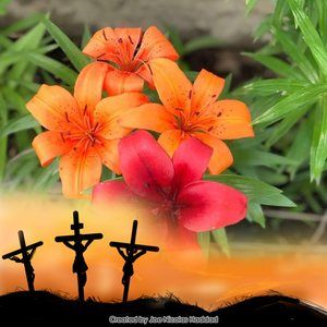 Meet your Posher, Anita